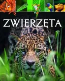 zwierzeta-stan-nowy