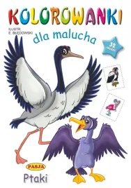 kolorowanki-dla-malucha-ptaki