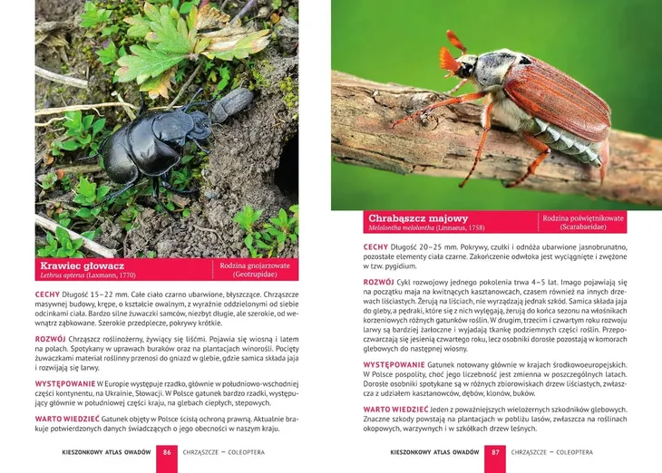 kieszonkowy-atlas-owadow-waga-z-opakowaniem-0-3-kg