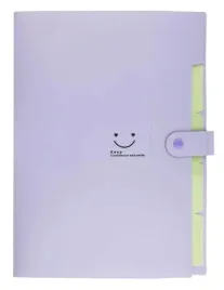 teczka-plastikowa-a4-z-5-przegrodkami-fioletowa