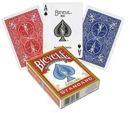 karty-standard-rider-back-bicycle