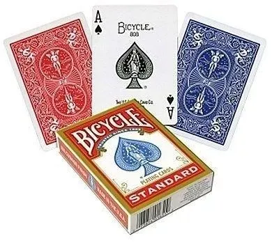 karty-standard-rider-back-bicycle