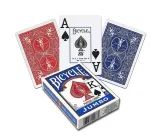 karty-rider-back-jumbo-bicycle-minimalna-liczba-graczy-1