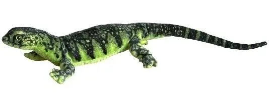 waran-zielony-80cm-dubi