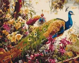 malowanie-po-numerach-kwitnace-pawie-40x50cm