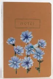 notes-cykoria