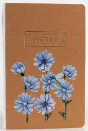 notes-cykoria
