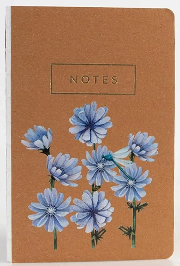 notes-cykoria