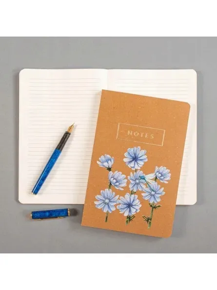 notes-cykoria-okladka-miekka