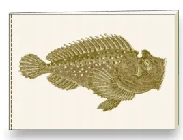 notatnik-ozdobny-a5-br-nb-s31-a-rossi