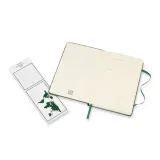 notes-classic-9x14-tw-linie-myrtle-green-okladka-twarda