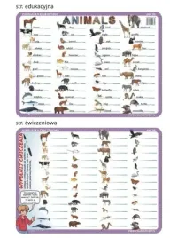 podkladka-edu-04-animals-jezyk-angielski