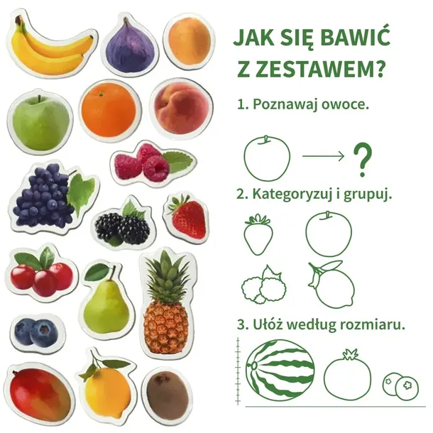 owoce-zestaw-magnesow-rodzaj-gadzetu-filmowy-gamingowy-ksiazkowy-komiksowy-muzyczny