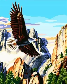 malowanie-po-numerach-orzel-amerykanski-40x50cm