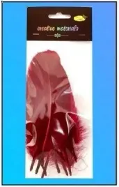 piorka-twarde-bordowe-10szt