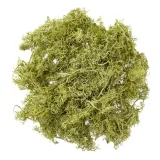 mech-jasnozielony-30g-stan-nowy