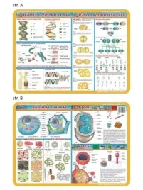 podkladka-edu-057-budowa-i-replikacje-dna