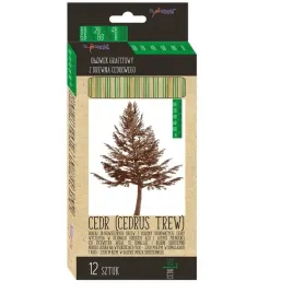 olowek-szesciokatny-hb-2h-cedrlove-12szt-mix