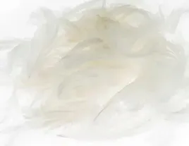 piora-biale-5-12cm-7g