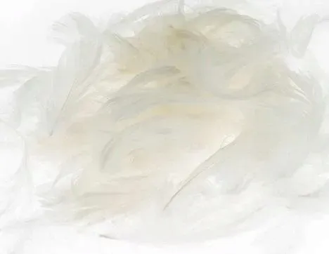 piora-biale-5-12cm-7g