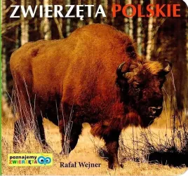 poznajemy-zwierzeta-zwierzeta-polskie-liwona