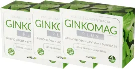 3-sztuki-ginkomag-plus-120-kaps-xenico-krazenie-krwi-w-mozgu-lecytyna