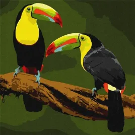 malowanie-po-numerach-ptaki-egzotyczne-40x40cm