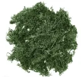 mech-ciemnozielony-30g-wysokosc-produktu-20-cm