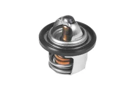 termostat-suzuki-an-250-burgman-2005-2006-1767008d21
