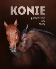 konie-pochodzenie-rasy-cechy-patrycja-zarawska