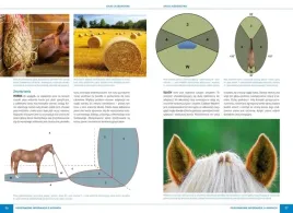 atlas-jezdziectwa-konie-techniki-jazdy-porady-ksiazka-na-prezent-bojarczuk
