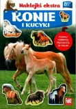 konie-i-kucyki-stan-nowy