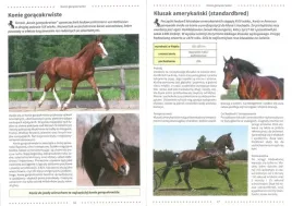 atlas-koni-rasy-opieka-zdrowie-jezdziectwo-album-twarda