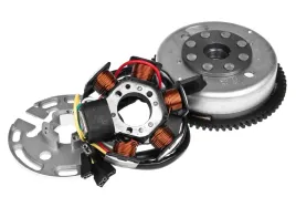 zaplon-kompletny-tec-aprilia-classic-pegaso-tuono-beta-rr-derbi-senda