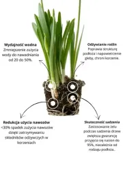 hydrozel-agrozel-ogrodniczy-bio-1kg-do-roslin-i-upraw-warzyw-nawodnienie