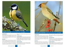 ptaki-swiat-atlas-ptakow-swiata-250-gatunkow-twarda-oprawa-ksiazka-prezent