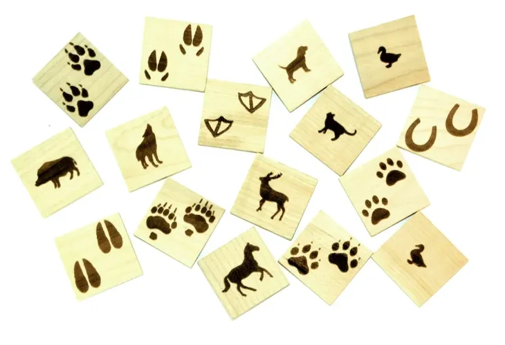 tropiciel-memory-edukacyjne-wiek-dziecka-3-lata