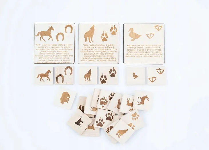 tropiciel-memory-edukacyjne-rodzaj-element