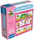 co-robi-mis-granna