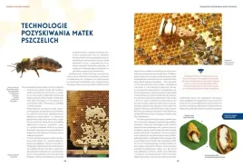 pszczelarstwo-jacek-nowak-michal-piatek