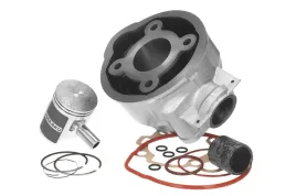 cylinder-kit-naraku-50cc-aprilia-af1-futura-classic-pegaso-mx-rs-rx-tuono