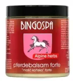 bingospa-masc-konska-forte-250-ml