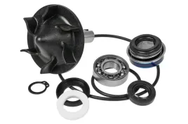 reperaturka-pompy-wody-tnt-yamaha-t-max-530-12-