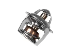 termostat-yamaha-tdr-125-92-02-oryginalny-oryginal
