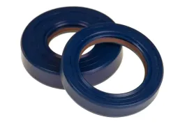 uszczelniacze-walu-polini-am6-rs-rx-sx-rr-x-limit