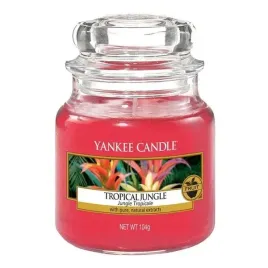 yankee-candle-small-jar-tropical-jungle-104g
