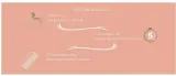 herbatint-hair-touch-up-blond-10-ml-stan-nowy