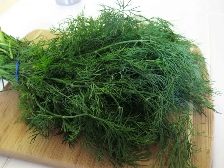 cn-koper-szmaragd-5g-cykl-rozwojowy-rosliny-jednoroczna