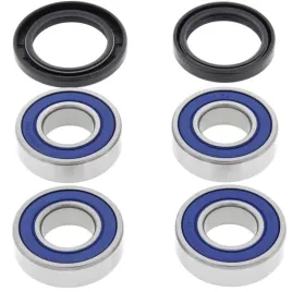 allballs-lozyska-kola-tyl-bmw-gsx650-challenge-06-07