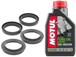 uszczelniacze-lag-all-balls-honda-vt600c-shadow-88-07